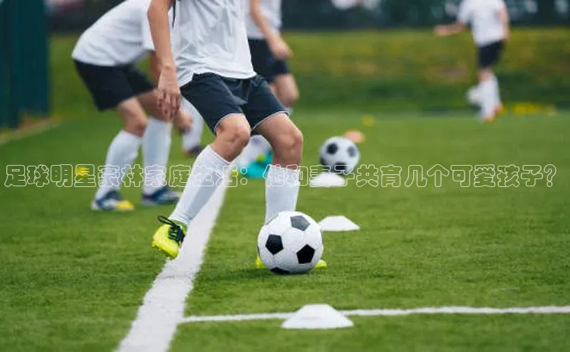 人人体育app安卓版引力传媒足球明星豪林家庭生活：他和妻子共育几个可爱孩子？