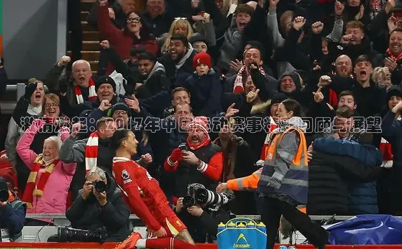 激情燃起：2017年中国运动赛事精彩回顾与展望