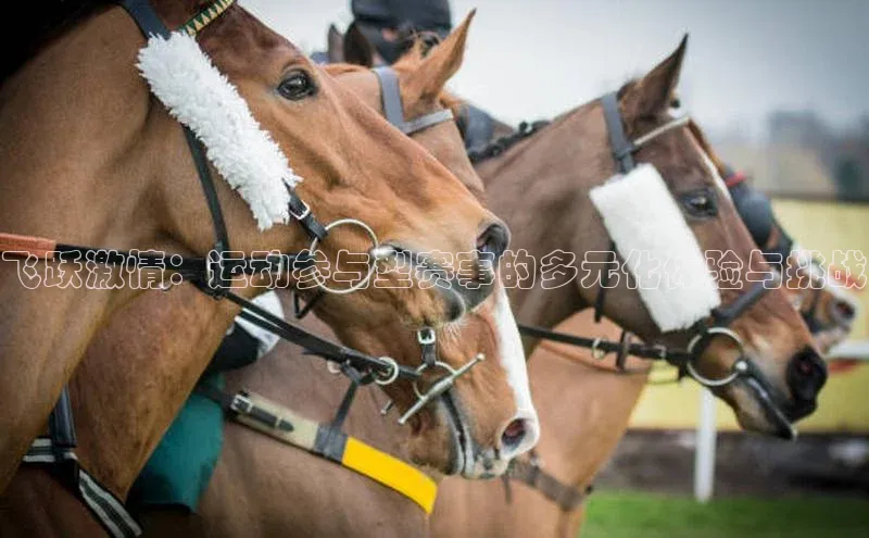飞跃激情：运动参与型赛事的多元化体验与挑战