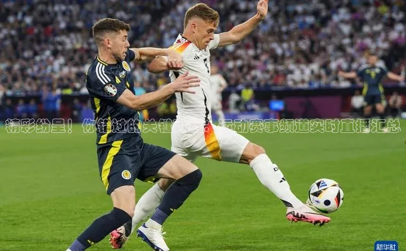 精彩纷呈！你错过的关键时刻：运动赛事频道实时直播汇总