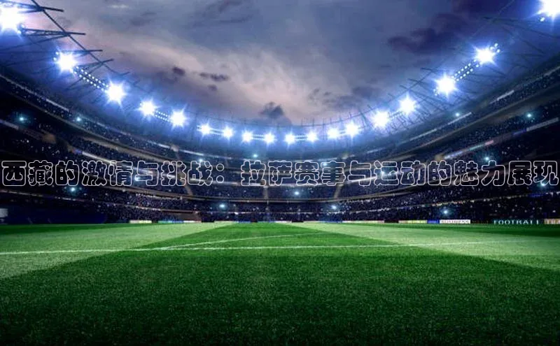西藏的激情与挑战：拉萨赛事与运动的魅力展现