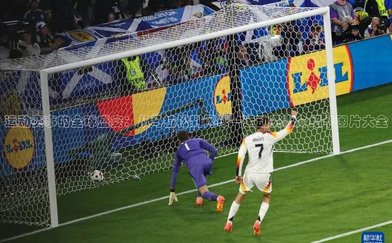 运动赛事的全球盛宴：从马拉松到网球—运动赛事介绍卡图片大全