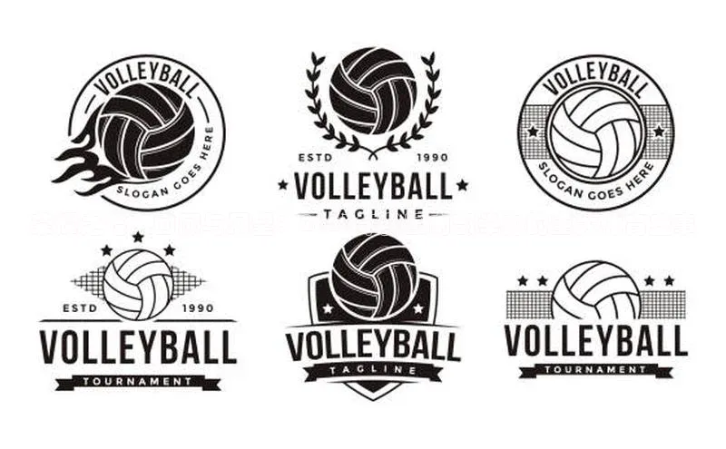 荣耀之路：回顾与展望：2023年我国内部举办的重大体育盛事