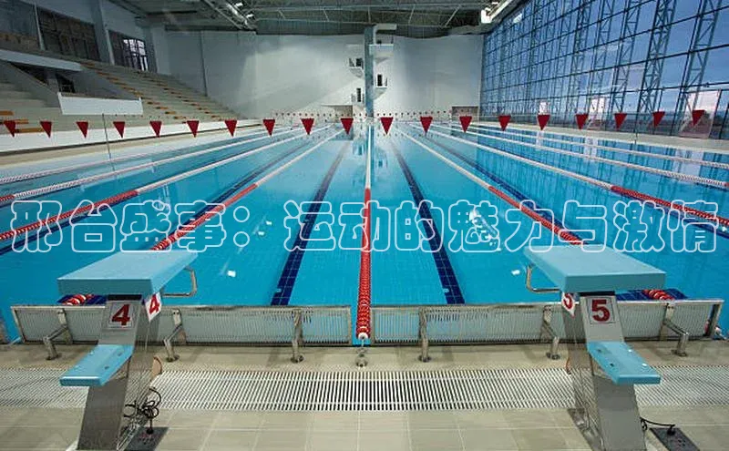 邢台盛事：运动的魅力与激情