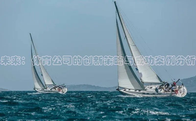 未来：体育公司的创新策略与成功案例分析