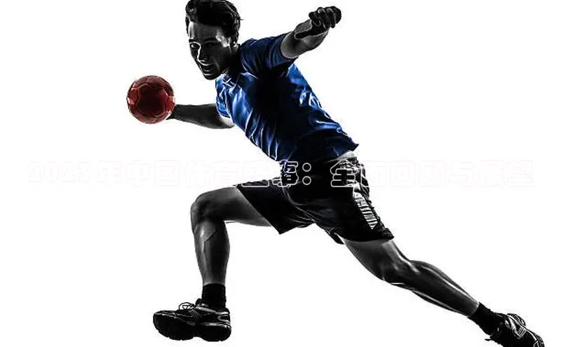 2023年中国体育盛事：全面回顾与展望