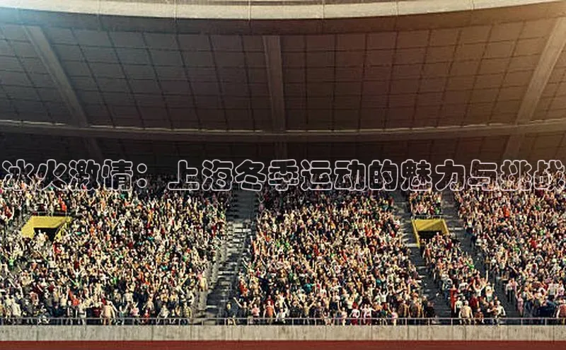 冰火激情：上海冬季运动的魅力与挑战