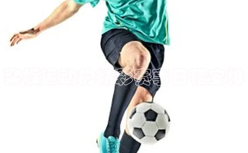 桨板运动的精彩赛事日程安排