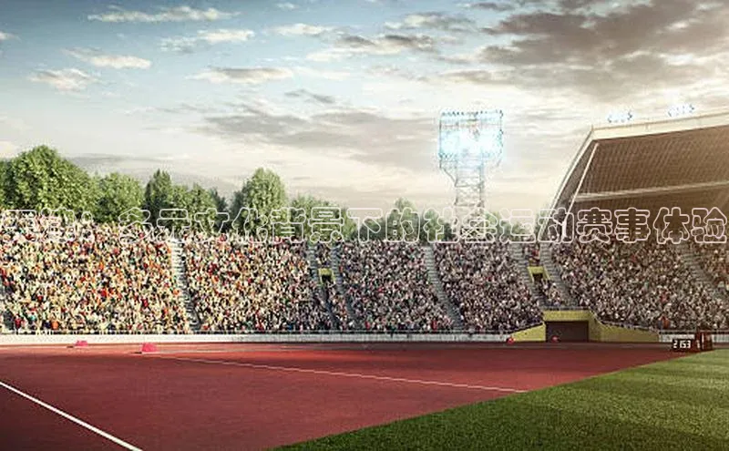 天津：多元文化背景下的社会运动赛事体验