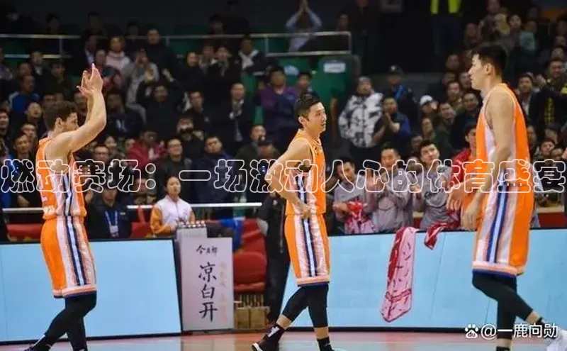 燃动赛场：一场激动人心的体育盛宴