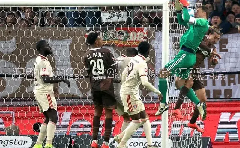 运动的韵律：2023年世界锦标赛亮点