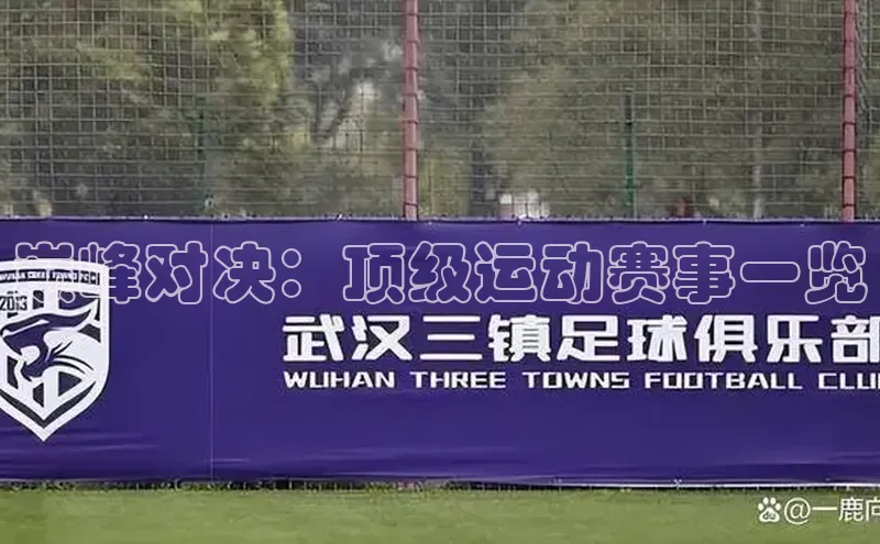 巅峰对决：顶级运动赛事一览