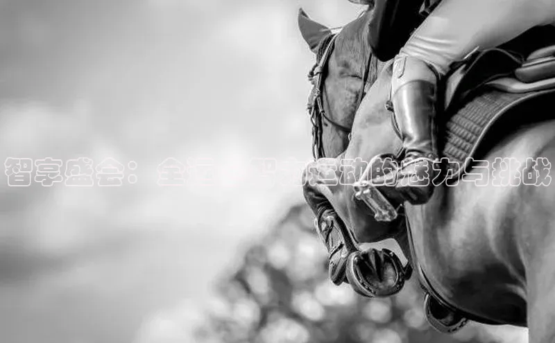 人人体育官方正版下载安装